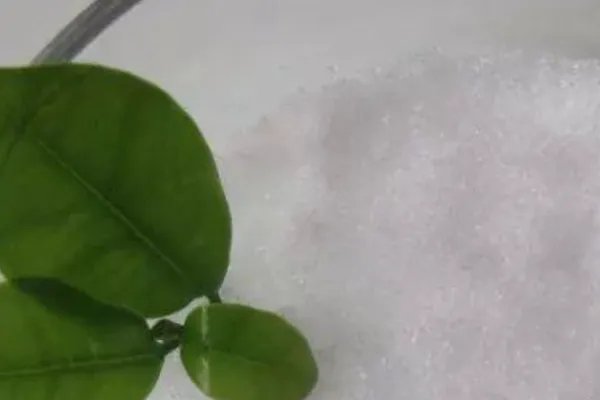 什么是黄花磷酸？