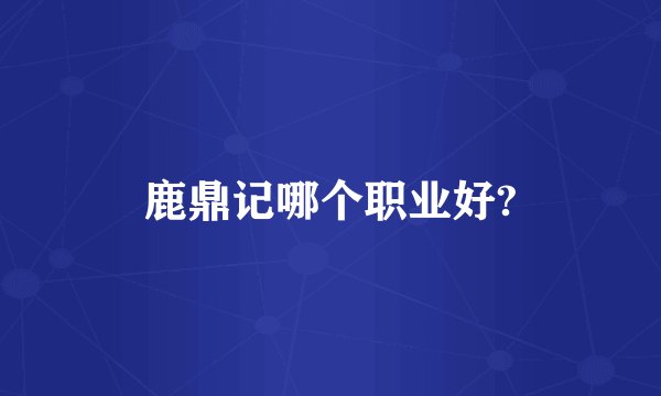 鹿鼎记哪个职业好?