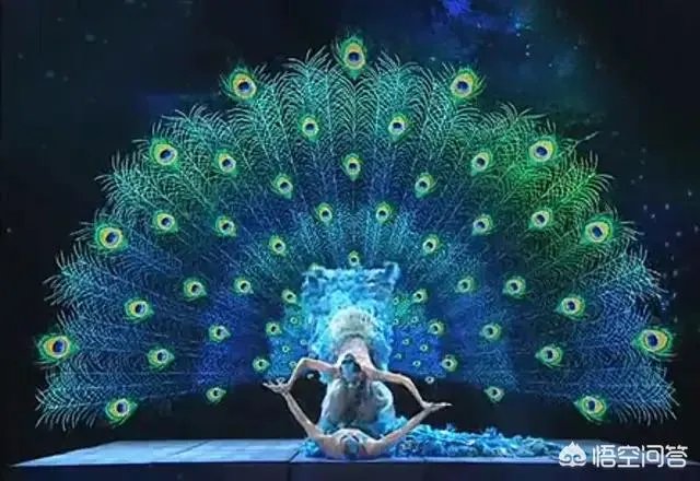 历年春晚你印象最深的节目是什么？