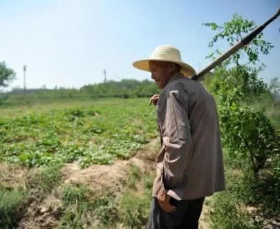 没想到116岁老人每天竟然吃这个!真让人吃惊（图）