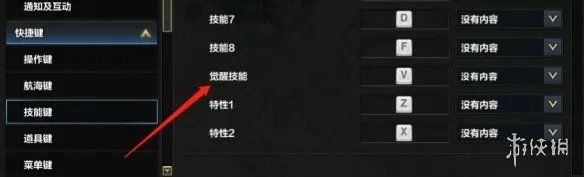 《命运方舟》大枪觉醒技能使用方法