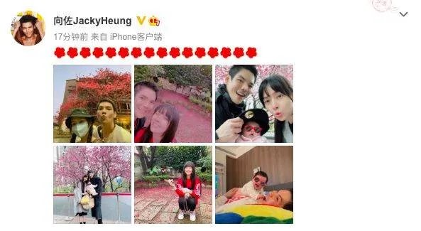 向太携儿子儿媳与友人聚餐，为何郭碧婷表情一脸冷淡？