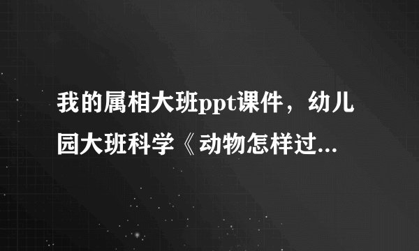 我的属相大班ppt课件，幼儿园大班科学《动物怎样过冬》课件