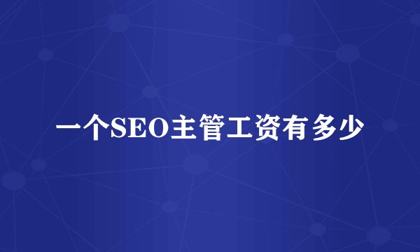 一个SEO主管工资有多少