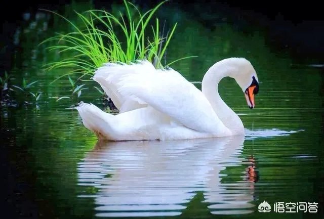 和老婆吵架,哄她她不理,真的不理她又说不关心她,该怎么办?