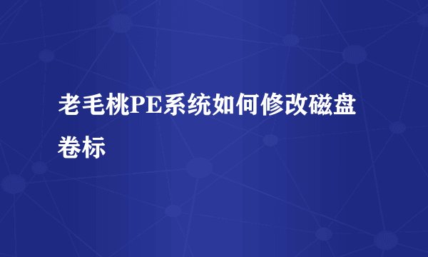 老毛桃PE系统如何修改磁盘卷标