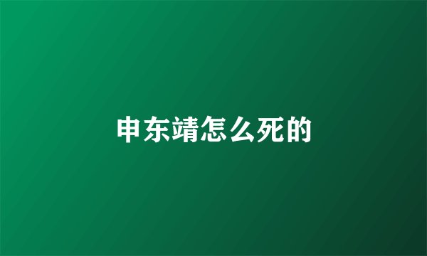 申东靖怎么死的