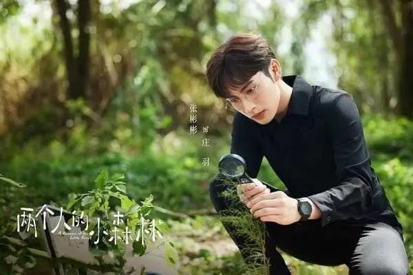 虞书欣、张彬彬发文告别《两个人的小森林》!这部剧的口碑如何?