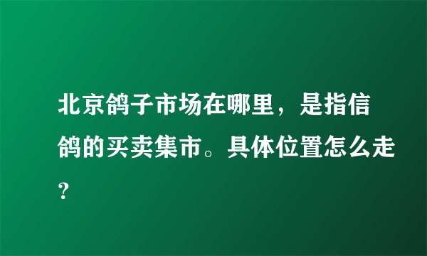 北京鸽子市场在哪里，是指信鸽的买卖集市。具体位置怎么走？