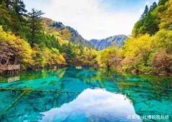 绵阳通报4天参团游未见九寨沟大门,涉事酒店最终得到了什么处罚?