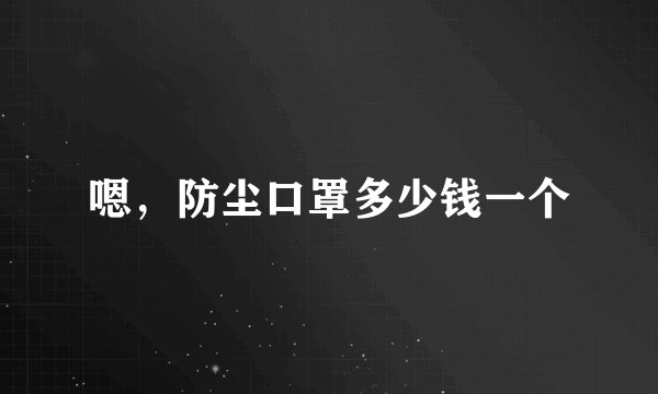嗯，防尘口罩多少钱一个