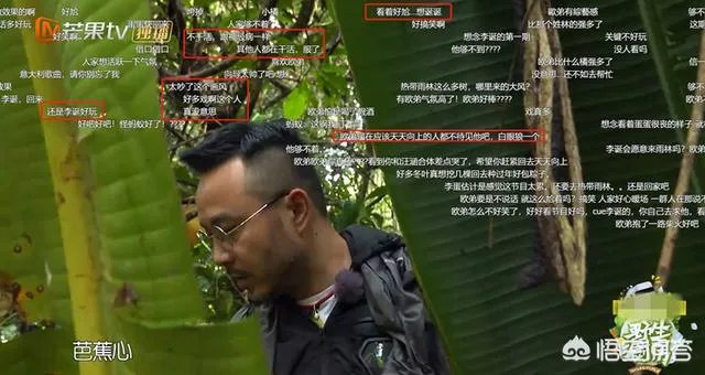 《野生厨房》中汪涵表现耐人寻味,有人说汪涵为何不搭理欧弟?
