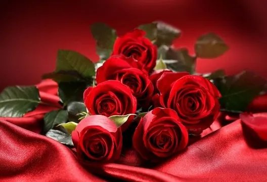 送13朵玫瑰是代表什么意思?