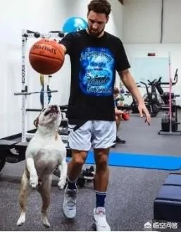 库里和克莱的伤势都怎么样了,什么时候可以打比赛?