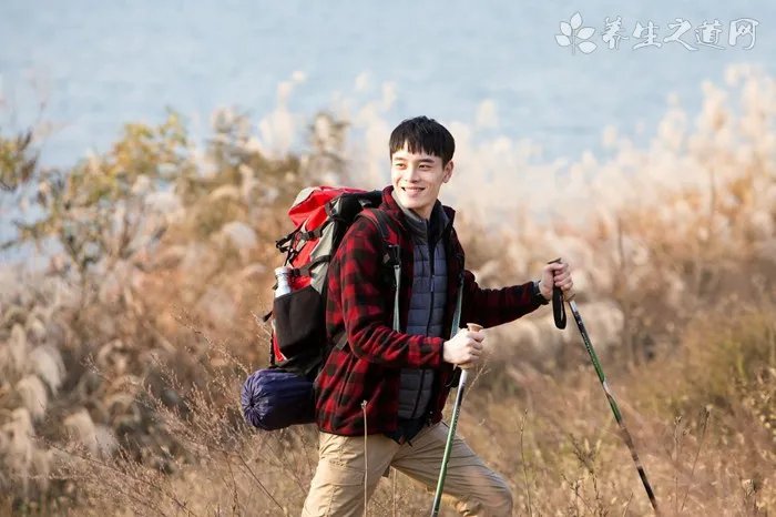 许昌车辆违章查询网官网