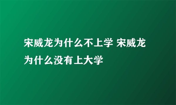 宋威龙为什么不上学 宋威龙为什么没有上大学