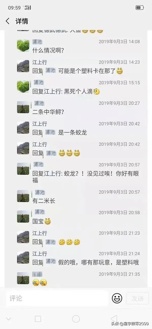 前几天出现的“三峡水怪”是什么,会是未知的生物吗?