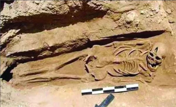 安阳曹操墓了解多少?