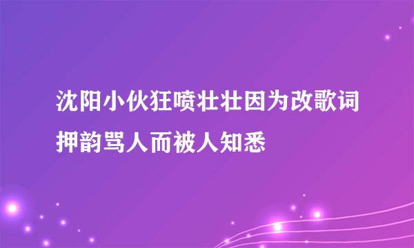 沈阳小伙狂喷壮壮因为改歌词押韵骂人而被人知悉