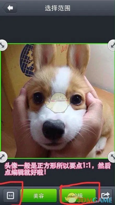 圣诞帽头像制作教程