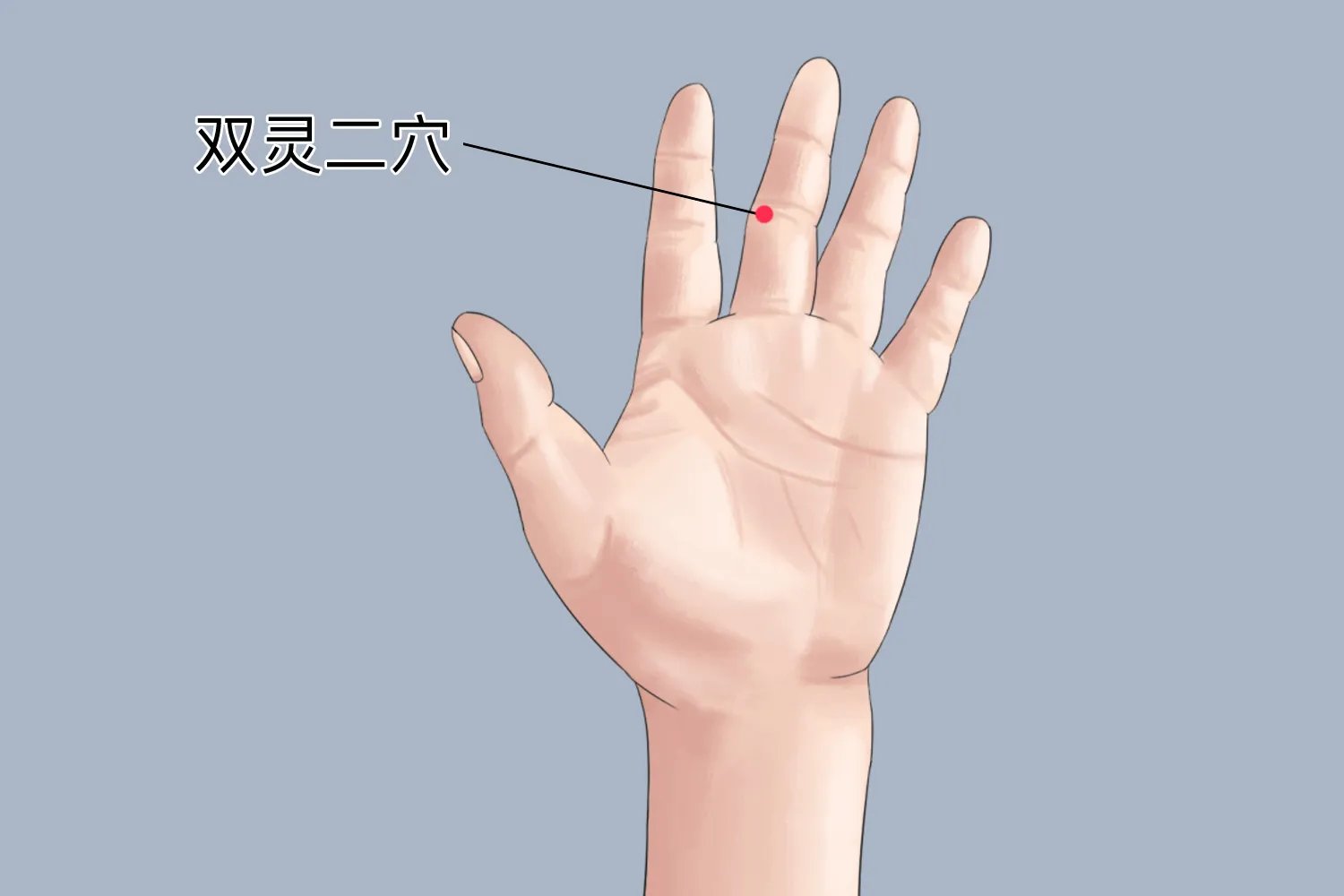 双灵准确位置图和作用