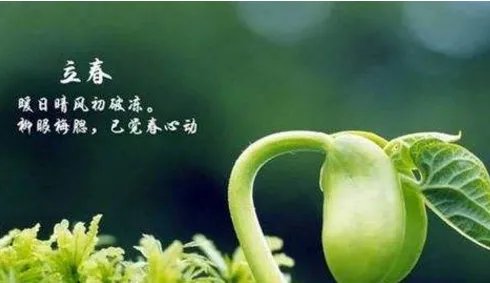 2019年什么时候打春几点几分