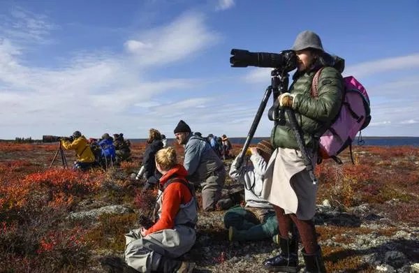 有没有人跟我一样觉得江一燕很漂亮的？
