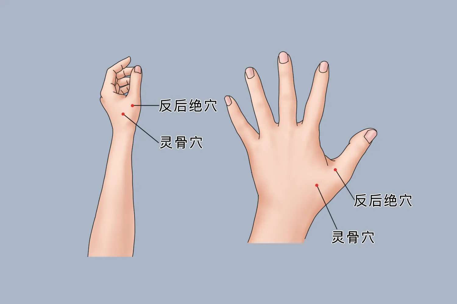 反后绝准确位置和功效