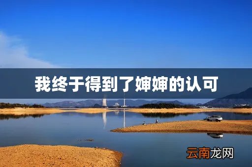 我终于得到了婶婶的认可