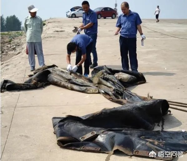 前几天出现的“三峡水怪”是什么,会是未知的生物吗?