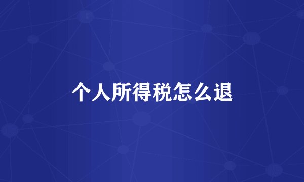 个人所得税怎么退
