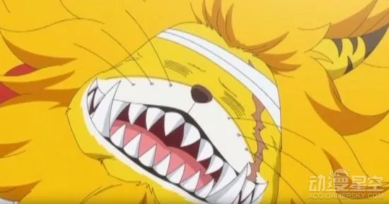 《海贼王》动画765话先行图 没想到你是这样的老猫