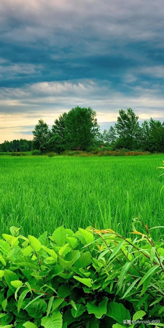 从业者工作稳定性