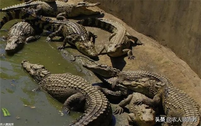 你认为中央电视台的《致富经》能让人致富吗？