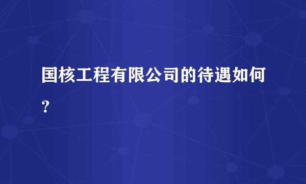 国核工程有限公司的待遇如何？