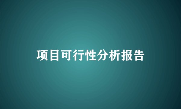 项目可行性分析报告