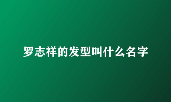 罗志祥的发型叫什么名字