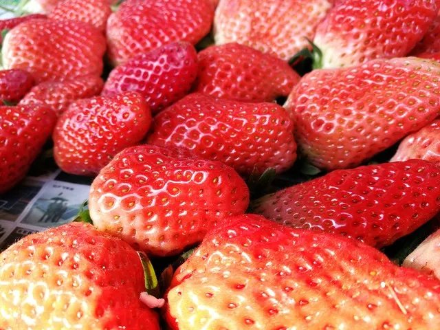 荣耀V9评测:你想要的