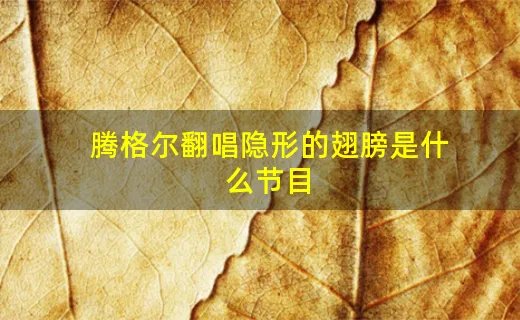 腾格尔翻唱隐形的翅膀是什么节目