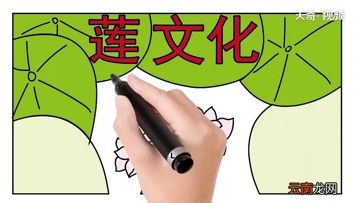 莲文化的魅力手抄报 莲文化的魅力画报
