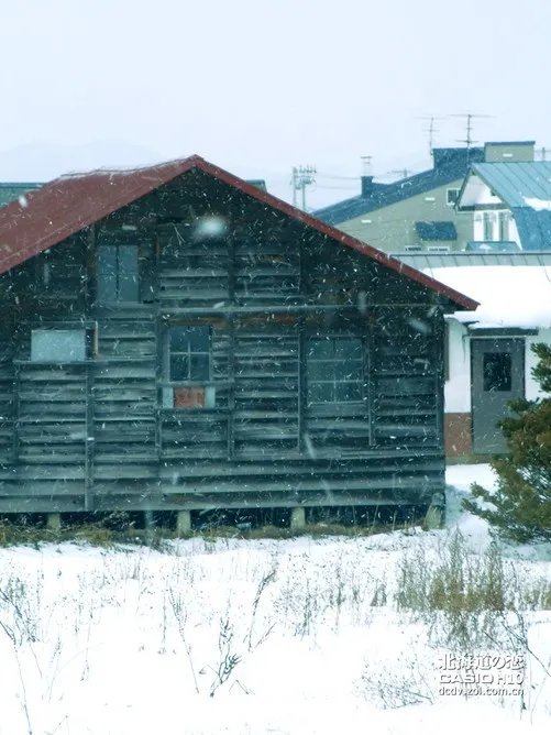 北海道之恋 卡西欧H10日本游记第二季