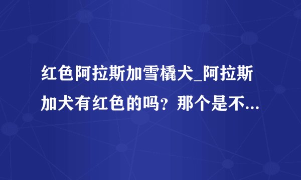 红色阿拉斯加雪橇犬_阿拉斯加犬有红色的吗？那个是不是染的啊。。