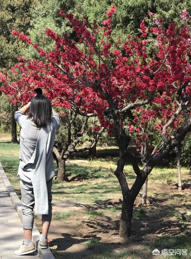 京东2019年发几个月薪水