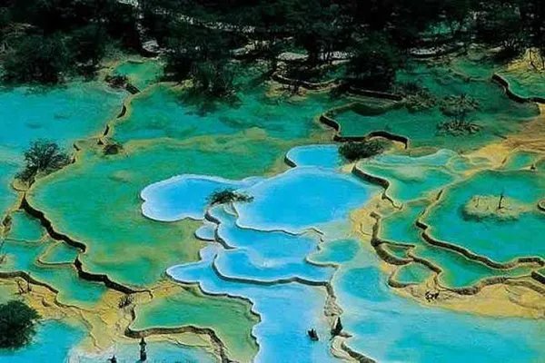 绵阳通报4天参团游未见九寨沟大门,涉事酒店最终得到了什么处罚?