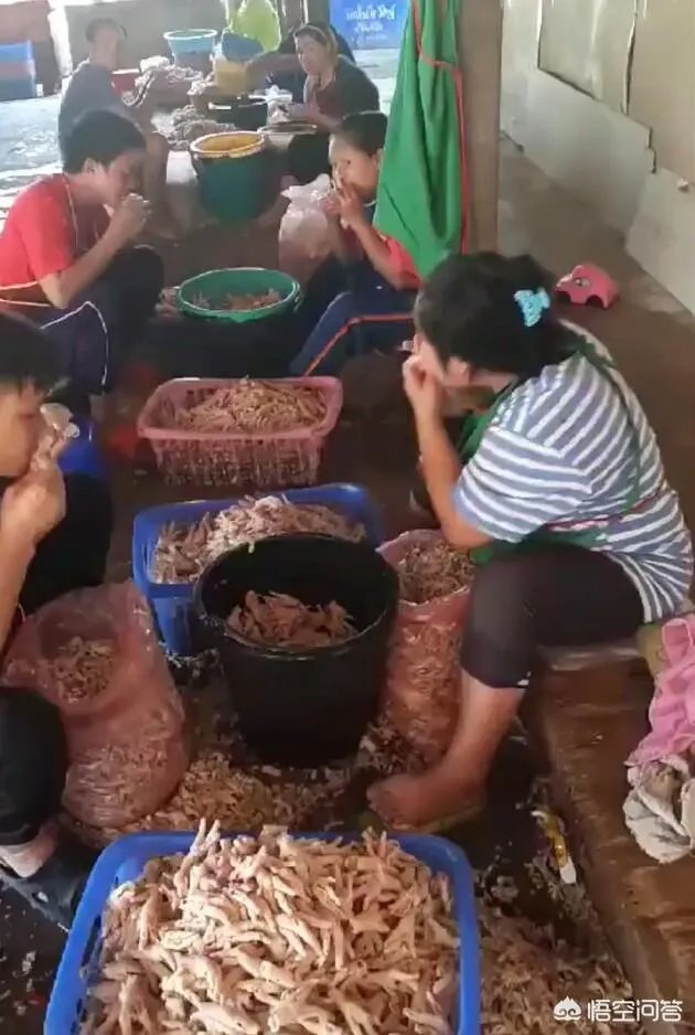 看了很多报道说“无骨鸡爪”是工人用嘴啃出来的，真的吗？