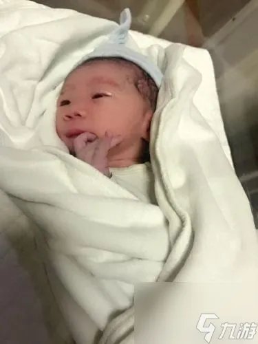 dota小八 dota小8去哪了