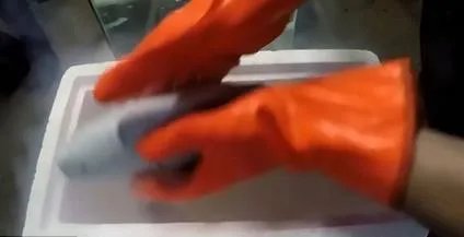 男子把鱼放干冰冷冻 奇迹出现了（图）