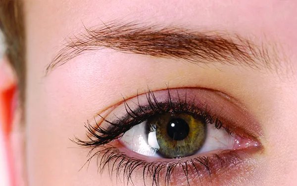 洗眉需要多少钱