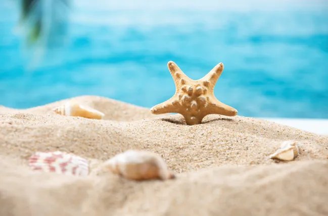 2021年三伏天时间表 2021年初伏中伏末伏是哪天