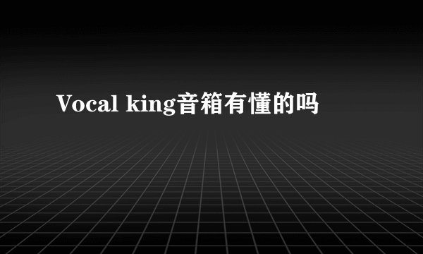 Vocal king音箱有懂的吗